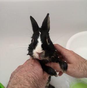 Meet your Posher, Emilie